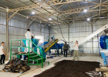 Сиыр мен жылқы терісінен мал азығына арналған протеин өндіретін зауыт ашылды