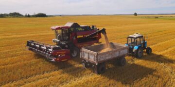 Елімізде жиналған астық көлемі 20 млн тоннаға жуықтады