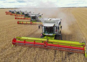 Ақмола облысы астық жинаудан рекорд жаңартуға жақын