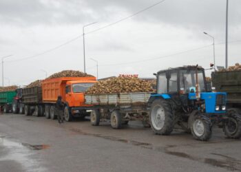 Жетісу зауыттары қант қызылшасының тоннасын 40 мың теңгеден қабылдай бастады