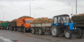 Жетісу зауыттары қант қызылшасының тоннасын 40 мың теңгеден қабылдай бастады