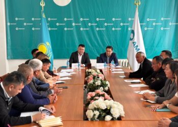 Думан Оспанов: қойдың санын көбейтуіміз керек