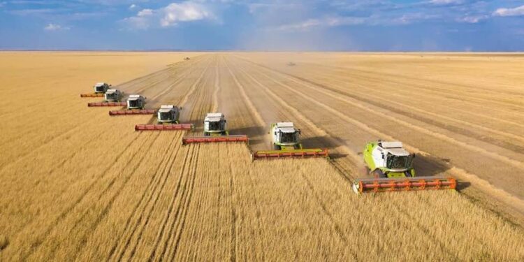 Ақмола облысында рекордтық көлемде астық жиналды