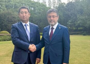 Түркияға экспортталатын астық пен сиыр етінің көлемі артады