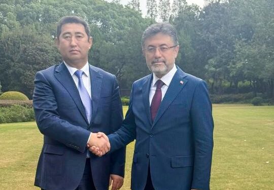 Түркияға экспортталатын астық пен сиыр етінің көлемі артады