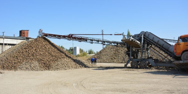 Зауыттар 225 мың тоннадан астам қант қызылшасын қабылдады