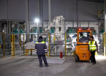 Дәнді және майлы ақылдарды терең өңдейтін агрокешен іске қосылды