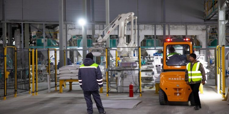 Дәнді және майлы ақылдарды терең өңдейтін агрокешен іске қосылды