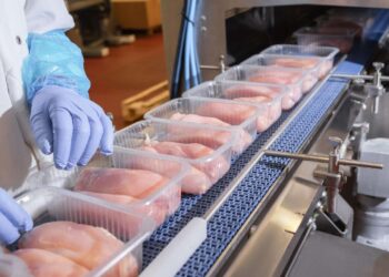 Көксу ауданында өңделген өнімдердің көлемі өскен