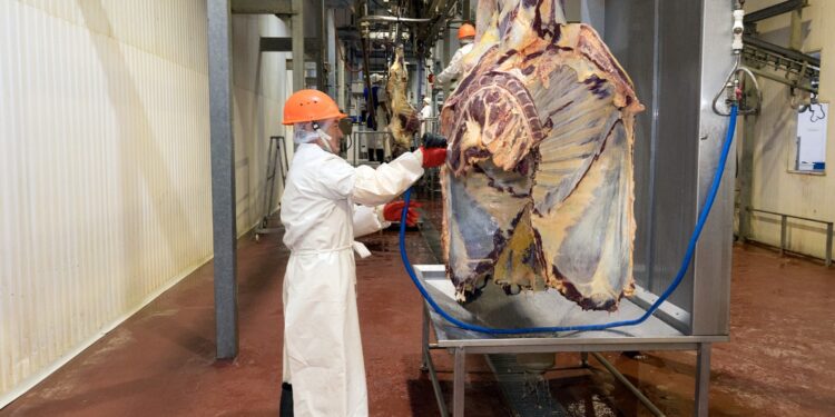 БҚО-да 20 мың басқа арналған бордақылау алаңы салынады