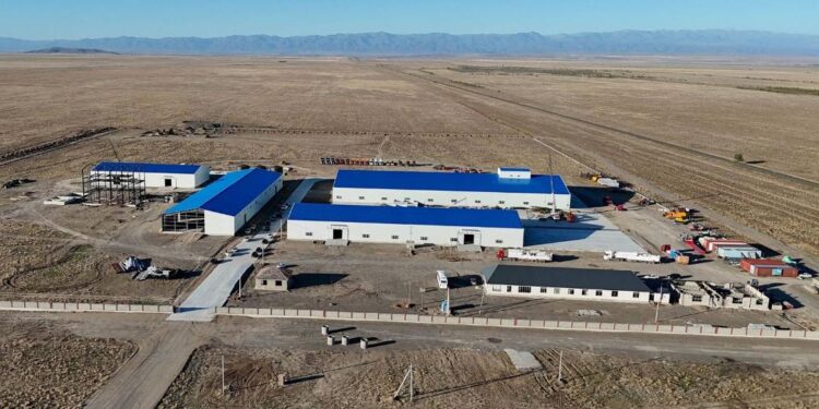 Биыл Абай облысында құрама жем зауыты іске қосылады