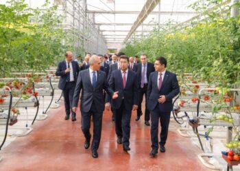 Шымкентте «ALSERA KZ» жылыжай кешені іске қосылды