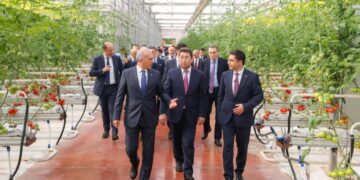 Шымкентте «ALSERA KZ» жылыжай кешені іске қосылды