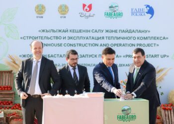 Шымкентте ірі жылыжай кешені салынады