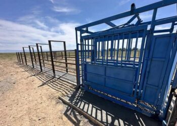 Қазақстанда мал аурулары 51%-ға дейін азайды