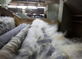 Алғашқы жүн өңдеу және тоқыма емес материалдар зауыты жұмысын бастады