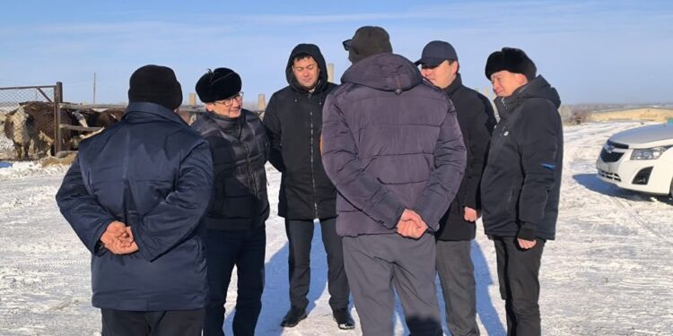 Думан Оспанов: агросектордағы инвестициялық жобалардың маңызы жоғары