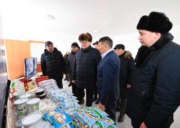 Берік Уәли Бесқарағай шаруашылықтарының жұмысын жоғары бағалады