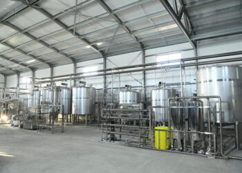 Қызылорда облысында түйе сүтін өңдейтін кәсіпорын ашылады