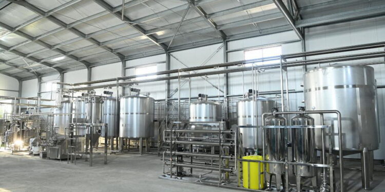 Қызылорда облысында түйе сүтін өңдейтін кәсіпорын ашылады