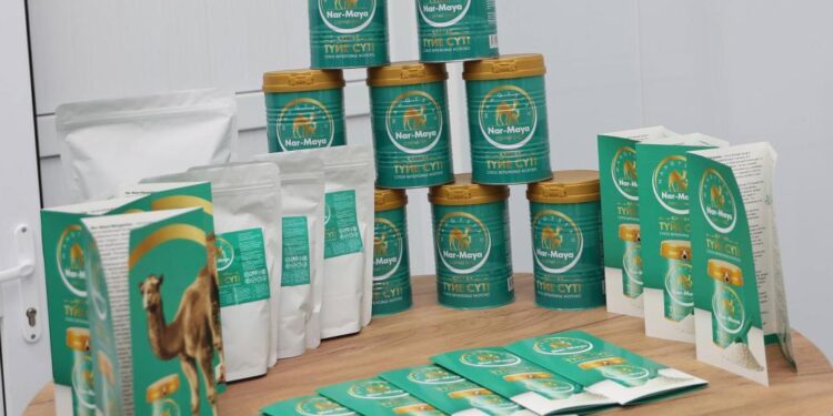 Жаңаөзенде түйенің құрғақ сүтін өндіретін цех бар