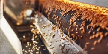 Астық кептіретін жабдықты лизингке алуға болады