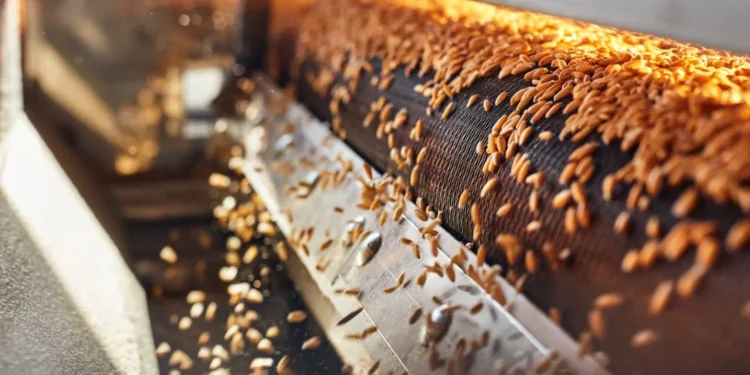 Астық кептіретін жабдықты лизингке алуға болады