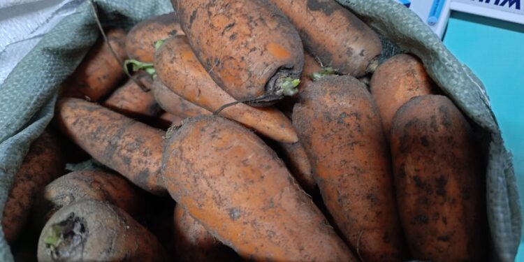 Сәбіз экспортына шектеу қойылса, шаруалар қайтпек?