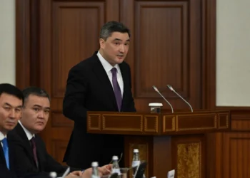 Үкімет басшысы: мал шаруашылығы едәуір артта қалып қойды