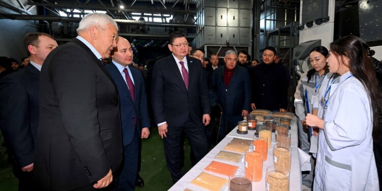 Абай облысында бұршақты және майлы дақылдарды өңдейтін зауыт ашылды