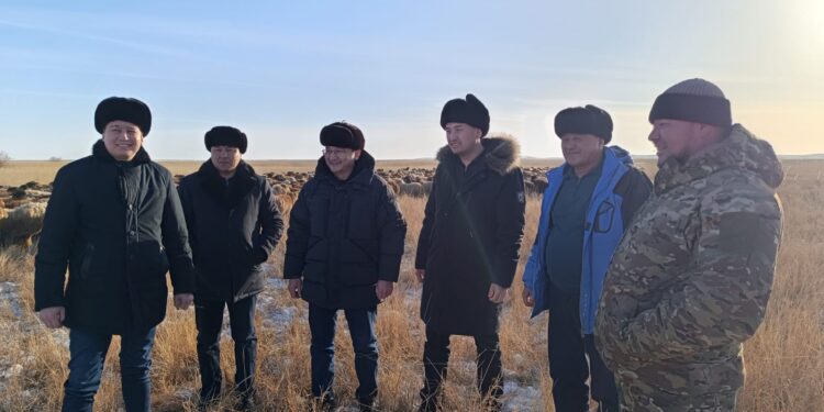 Абай облысы әкімінің орынбасары қой өсіруге қолайлы өңірдің қожалықтарын аралады