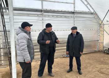 Абай облысында алғашқы жылыжай кешені салынып жатыр   