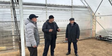 Абай облысында алғашқы жылыжай кешені салынып жатыр   