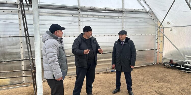 Абай облысында алғашқы жылыжай кешені салынып жатыр   