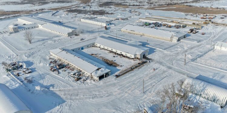 Фермер: қаладан көшіп келетіндерге үй, мал, жұмыс береміз