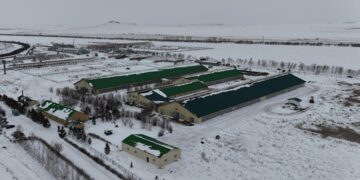 Биыл Ақмола облысында екі тауарлы сүт фермасы іске қосылады
