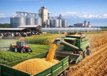 Алматы облысында 7 агроинвестициялық жоба іске асады