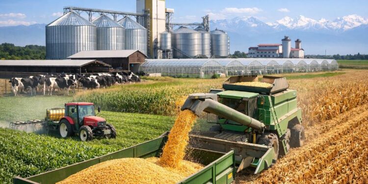 Алматы облысында 7 агроинвестициялық жоба іске асады