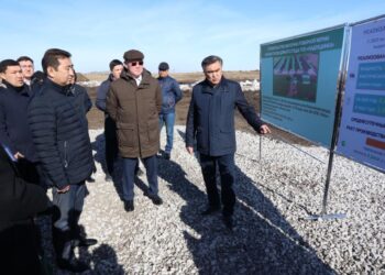 Биыл мал шаруашылығын дамытуға басымдық беріледі