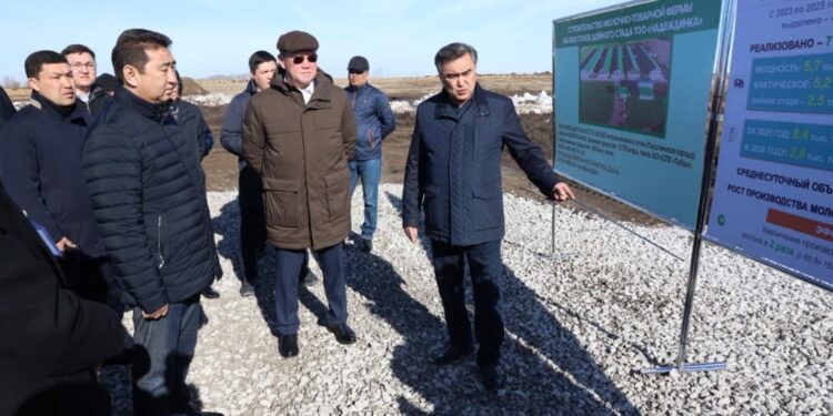 Биыл мал шаруашылығын дамытуға басымдық беріледі