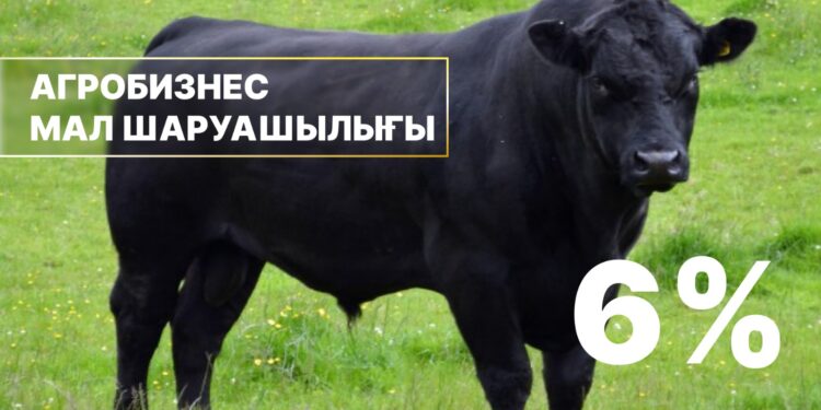 Мал шаруашылығына жеңілдетілген несие беру бағдарламасы басталды