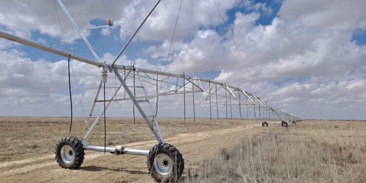 Шиелінің шаруалары су үнемдеу технологияларын тұтынады