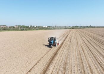 Мақтааралдың шаруалары мақта егуді бастады