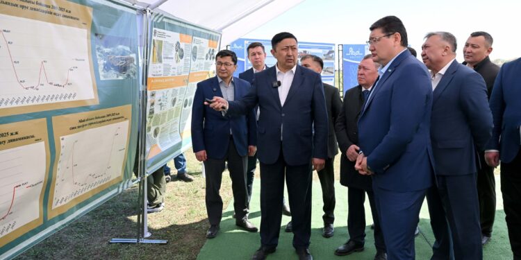 Абай облысында фитосанитариялық тұрақтылықты қамтамасыз ету жұмыстары жүріп жатыр