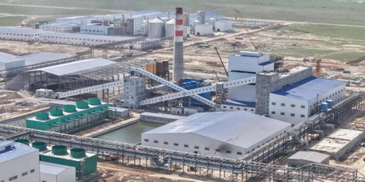 Жамбыл облысында жүгеріні терең өңдейтін зауыт жұмысын бастады