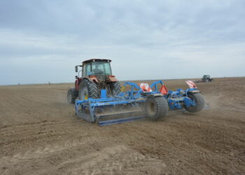 Жамбыл облысында көкөніс пен бақша егісі қысқартылады