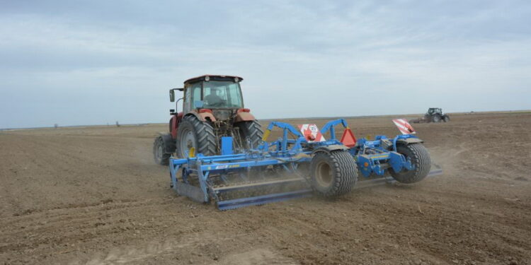 Жамбыл облысында көкөніс пен бақша егісі қысқартылады