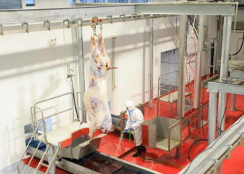 Қарағанды облысында ет комбинаты іске қосылды