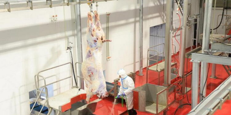 Қарағанды облысында ет комбинаты іске қосылды