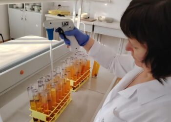 Ғалымдар құрғақшылыққа төзімді дақыл сорттарын патенттеді